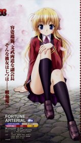 BUY NEW fortune arterial - 161969 Premium Anime Print Poster