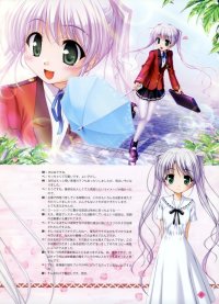 BUY NEW fortune arterial - 167590 Premium Anime Print Poster