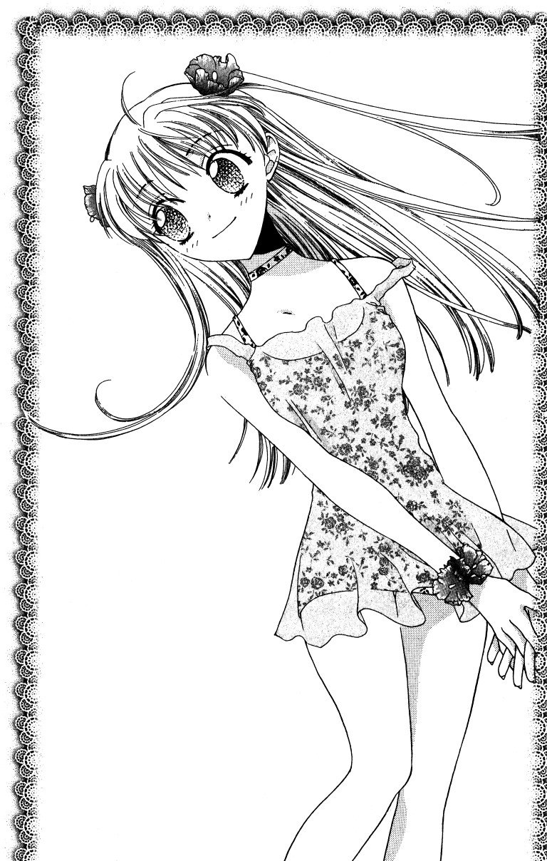 BUY NEW fruits basket - 119848 Premium Anime Print Poster fruits basket - 119848 image