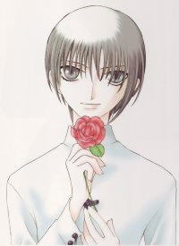 BUY NEW fruits basket - 123005 Premium Anime Print Poster