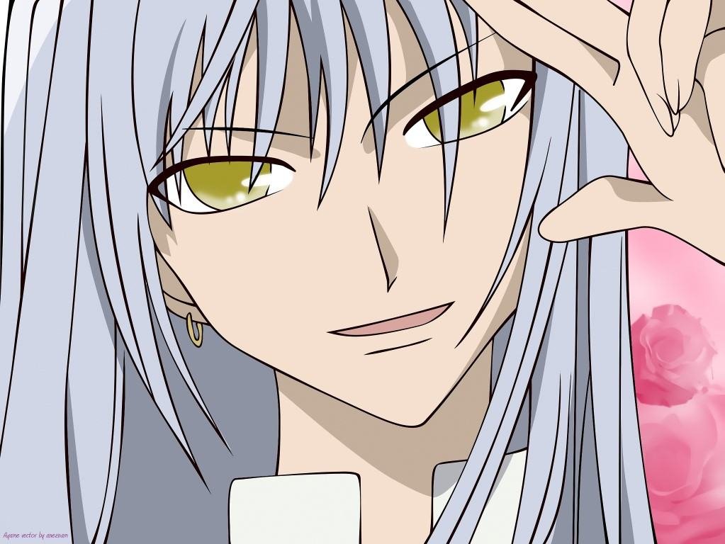 BUY NEW fruits basket - 139352 Premium Anime Print Poster fruits basket - 139352 image