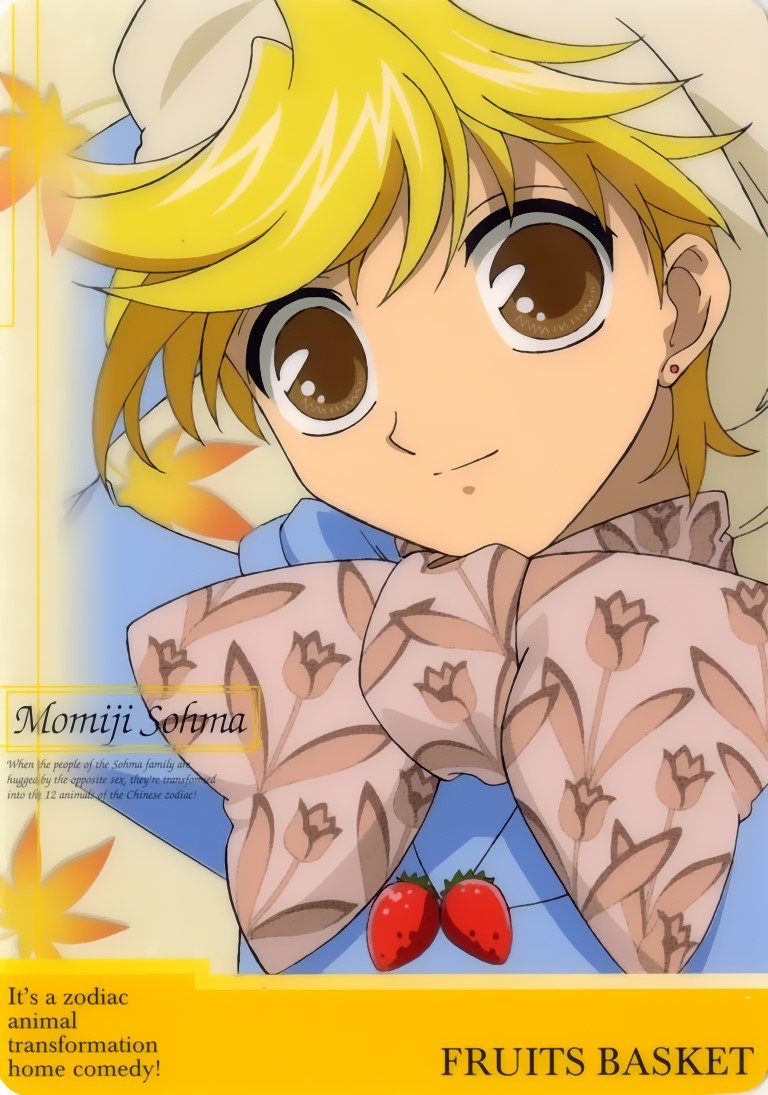 BUY NEW fruits basket - 176960 Premium Anime Print Poster fruits basket - 176960 image