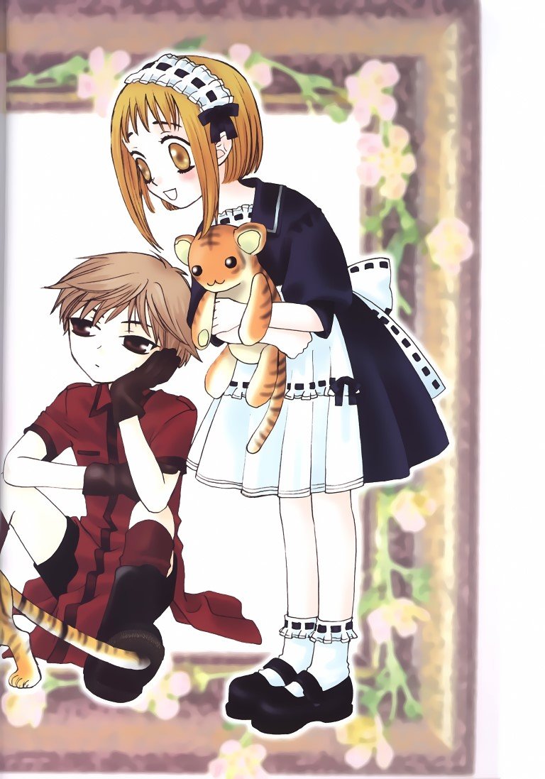 BUY NEW fruits basket - 22407 Premium Anime Print Poster fruits basket - 22407 image