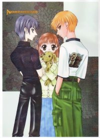 BUY NEW fruits basket - 225 Premium Anime Print Poster