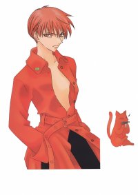 BUY NEW fruits basket - 28275 Premium Anime Print Poster