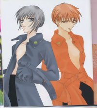 BUY NEW fruits basket - 3034 Premium Anime Print Poster