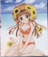 BUY NEW fruits basket - 3036 Premium Anime Print Poster