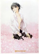 BUY NEW fruits basket - 591 Premium Anime Print Poster