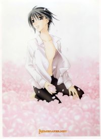 BUY NEW fruits basket - 591 Premium Anime Print Poster