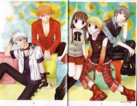 BUY NEW fruits basket - 60969 Premium Anime Print Poster