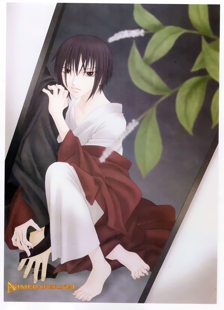 BUY NEW fruits basket - 704 Premium Anime Print Poster fruits basket - 704 image