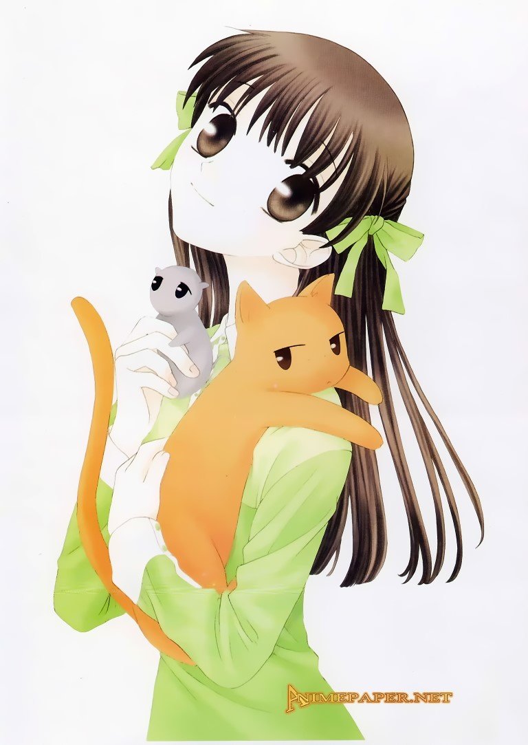 BUY NEW fruits basket - 842 Premium Anime Print Poster fruits basket - 842 image