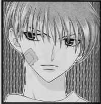 BUY NEW fruits basket - 87459 Premium Anime Print Poster