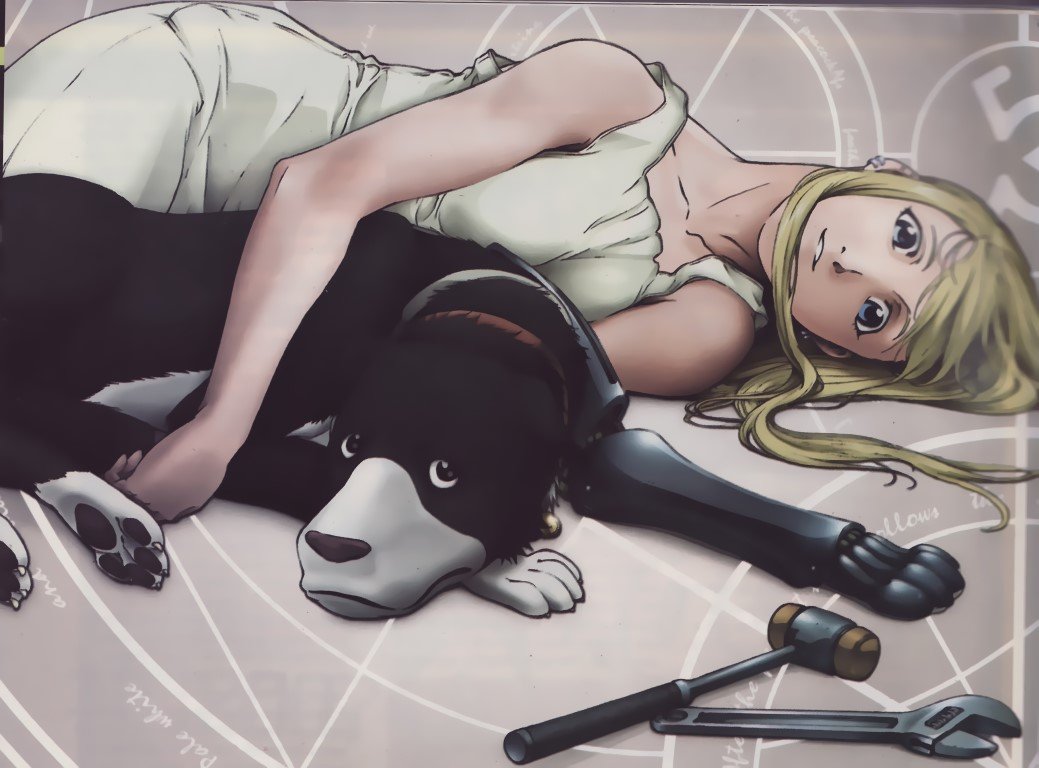 BUY NEW full metal alchemist - 134387 Premium Anime Print Poster full metal alchemist - 134387 image
