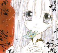 BUY NEW full moon wo sagashite - 111741 Premium Anime Print Poster