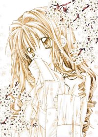 BUY NEW full moon wo sagashite - 111749 Premium Anime Print Poster