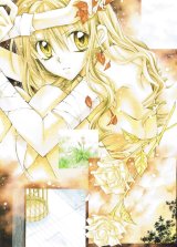 BUY NEW full moon wo sagashite - 111752 Premium Anime Print Poster