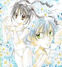 BUY NEW full moon wo sagashite - 112766 Premium Anime Print Poster