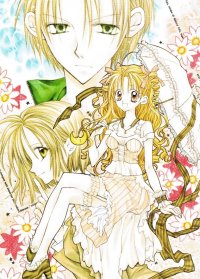 BUY NEW full moon wo sagashite - 113353 Premium Anime Print Poster