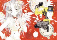 BUY NEW full moon wo sagashite - 113361 Premium Anime Print Poster