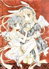 BUY NEW full moon wo sagashite - 113462 Premium Anime Print Poster