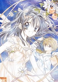 BUY NEW full moon wo sagashite - 113465 Premium Anime Print Poster