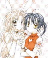 BUY NEW full moon wo sagashite - 113467 Premium Anime Print Poster
