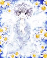 BUY NEW full moon wo sagashite - 113554 Premium Anime Print Poster