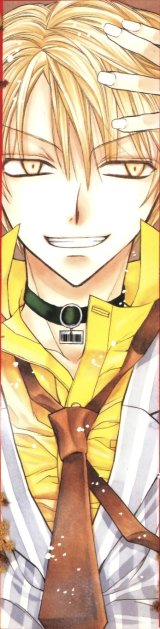 BUY NEW full moon wo sagashite - 145268 Premium Anime Print Poster