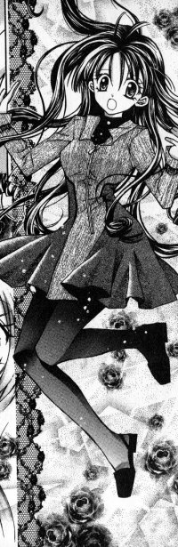 BUY NEW full moon wo sagashite - 150762 Premium Anime Print Poster