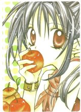BUY NEW full moon wo sagashite - 88566 Premium Anime Print Poster