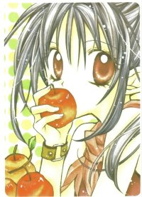 BUY NEW full moon wo sagashite - 88566 Premium Anime Print Poster