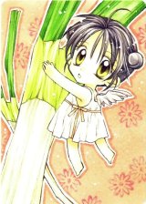 BUY NEW full moon wo sagashite - 88889 Premium Anime Print Poster