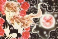 BUY NEW fushigi yuugi - 158312 Premium Anime Print Poster
