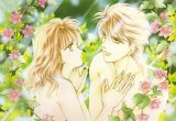BUY NEW fushigi yuugi - 159568 Premium Anime Print Poster