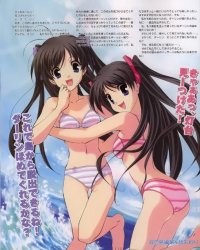 BUY NEW futakoi alternative - 39043 Premium Anime Print Poster
