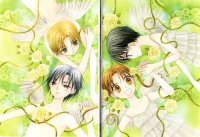 BUY NEW gakuen alice - 164673 Premium Anime Print Poster