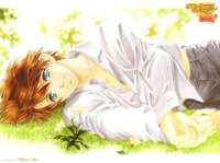 BUY NEW gakuen heaven - 124409 Premium Anime Print Poster