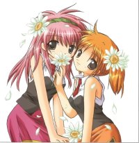 BUY NEW galaxy angel - 185370 Premium Anime Print Poster