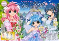 BUY NEW galaxy angel - 75066 Premium Anime Print Poster
