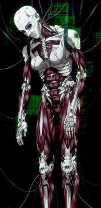 BUY NEW ghost in the shell - 25601 Premium Anime Print Poster
