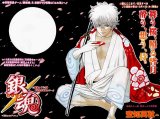 BUY NEW gintama - 145122 Premium Anime Print Poster
