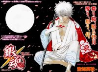 BUY NEW gintama - 145122 Premium Anime Print Poster