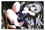 BUY NEW girls avenue - 118059 Premium Anime Print Poster