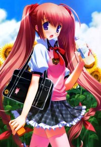 BUY NEW girls avenue - 143919 Premium Anime Print Poster
