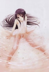 BUY NEW girls avenue - 67176 Premium Anime Print Poster