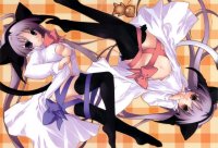 BUY NEW girls avenue - 67243 Premium Anime Print Poster