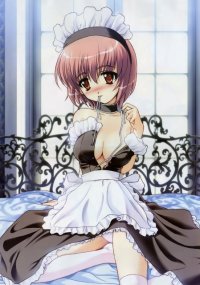 BUY NEW girls avenue - 67589 Premium Anime Print Poster