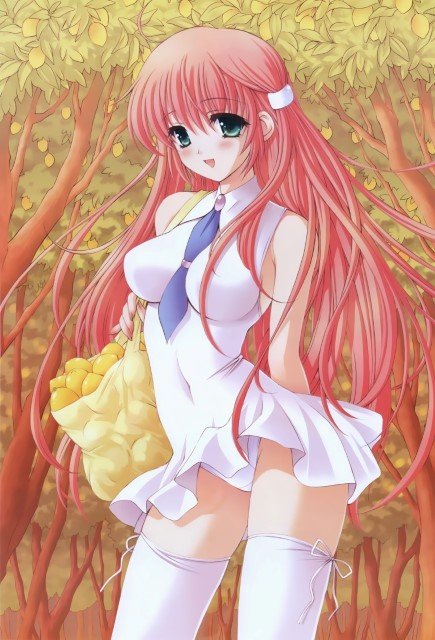 BUY NEW girls avenue - 89543 Premium Anime Print Poster girls avenue - 89543 image