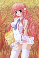 BUY NEW girls avenue - 89543 Premium Anime Print Poster